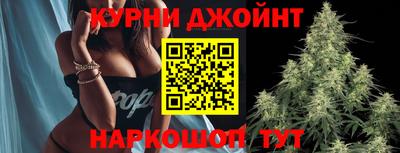 прущие крисы Славгород