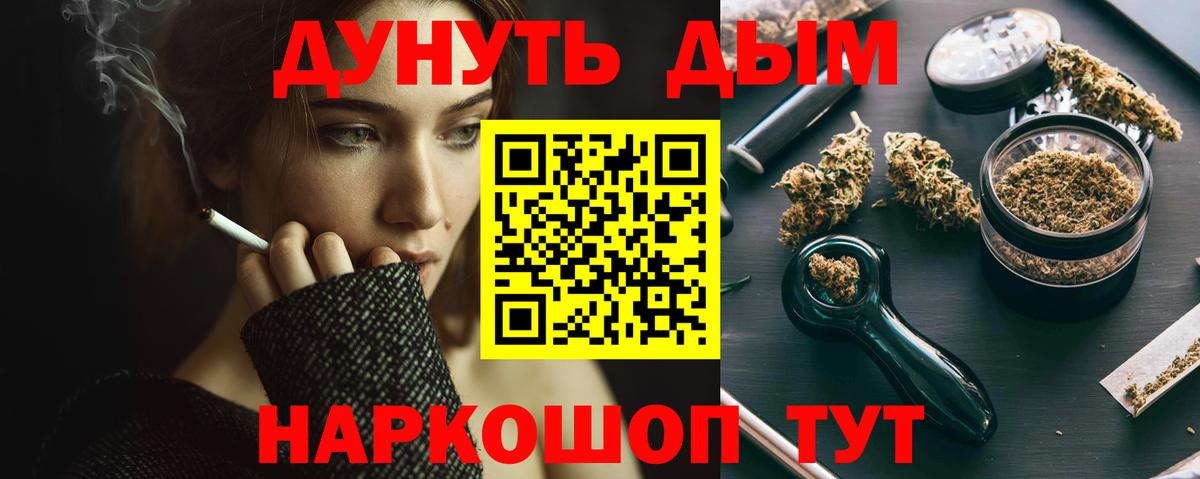 Марихуана конопля Кингисепп